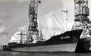 CAP FALCON 04